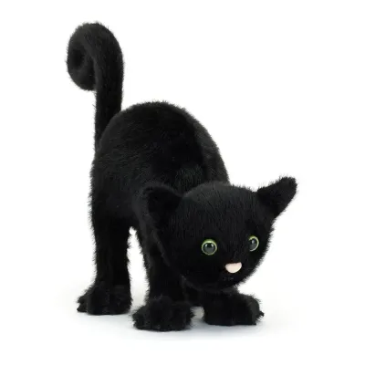Spookipaws Cat (Medium)