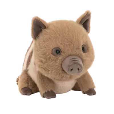 Swinley Boar (Medium)