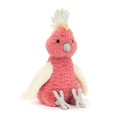 Squawkatoo (Medium)