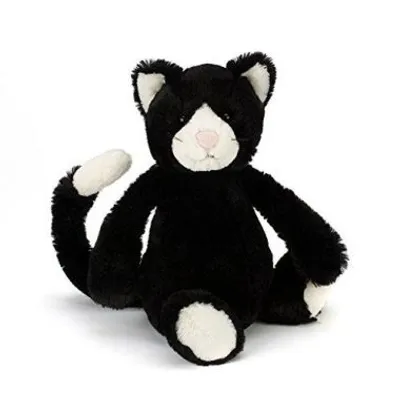 Bashful Black and White Kitten