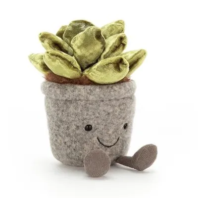Silly Succulent Jade