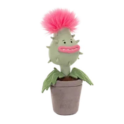 Carniflore Priscilla (Medium)