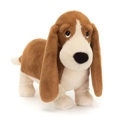 Randall Basset Hound (Large)