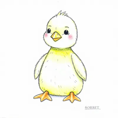 Crazy Chick - Sorbet