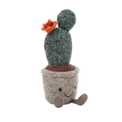 Silly Succulent Prickly Pear Cactus