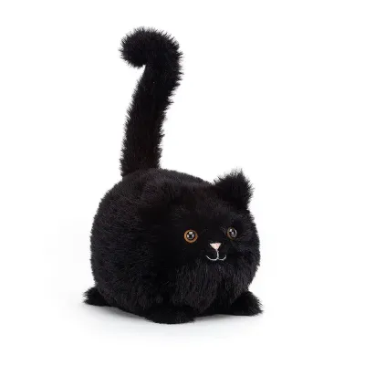 Kitten Caboodle (Black - Small)