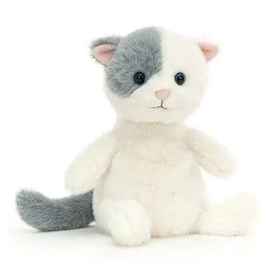 Munchkin Cat (Medium)