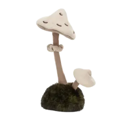 Wild Nature Parasol Mushroom (Medium)
