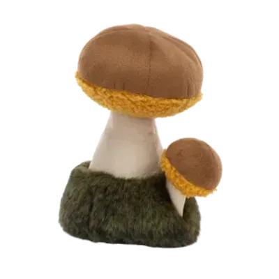 Wild Nature Boletus Mushroom