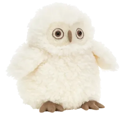 Apollo Owl