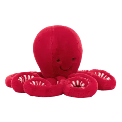 Cranberry Octopus