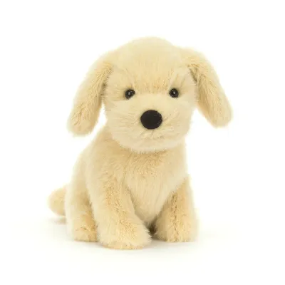 Golden Puppy (Large)