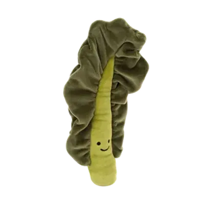 Vivacious Vegetable Kale Leaf