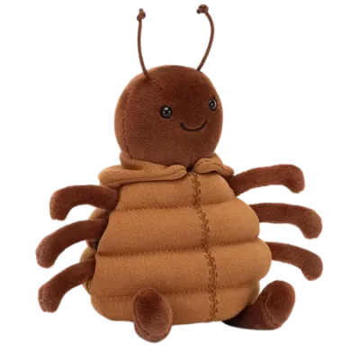 Anoraknid Brown Spider