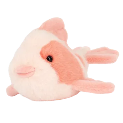 Fancy Carp