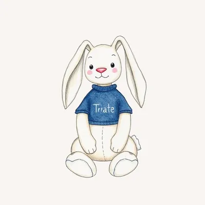 Bashful Blush Bunny with Personalised Navy Jumper
