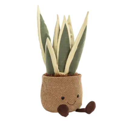 Amuseable Snake Plant (Large)