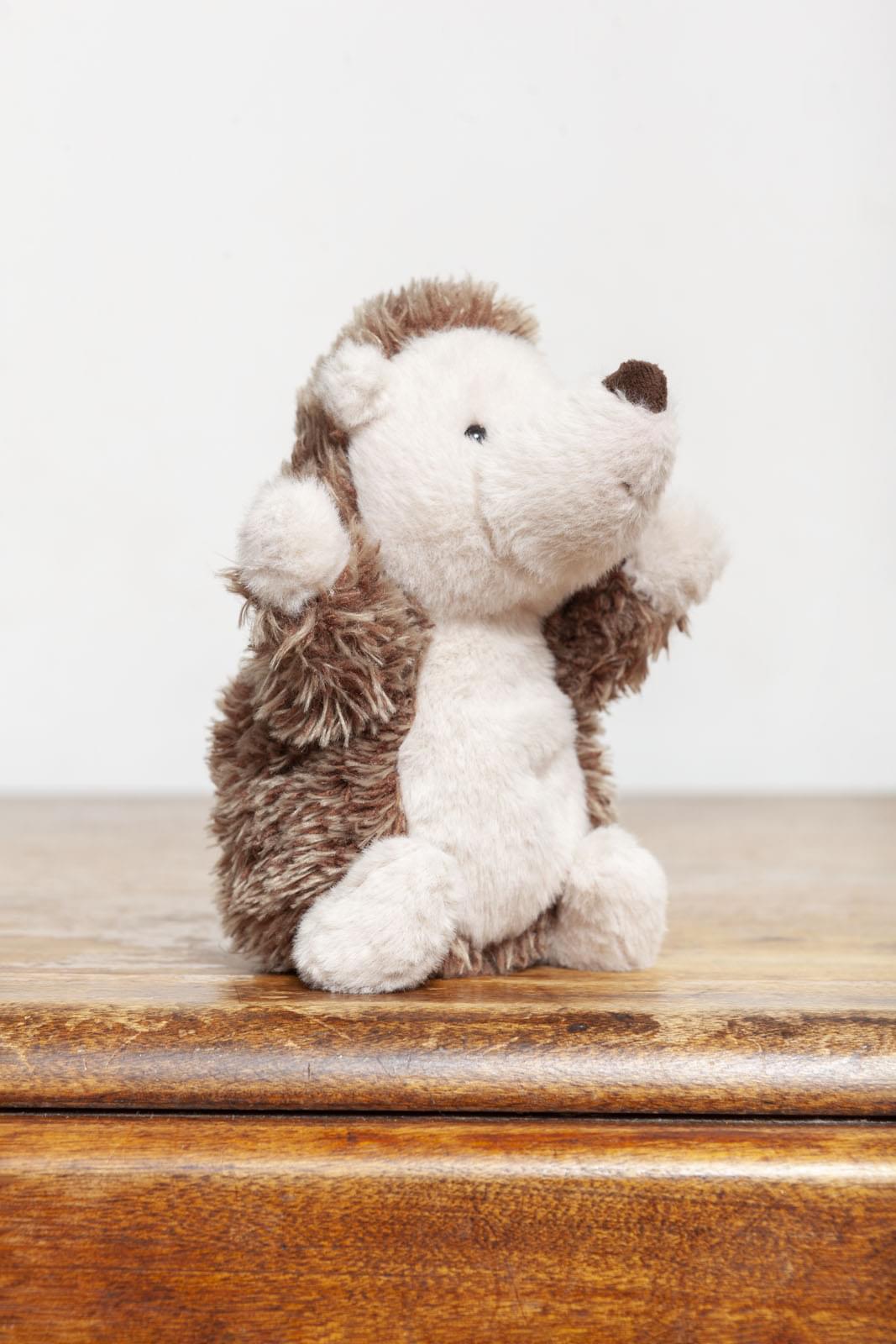 Hedgehog (Little)