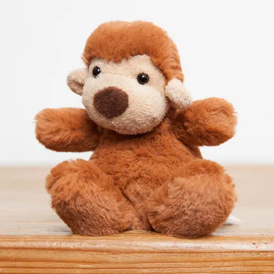 Baby Poppet Monkey