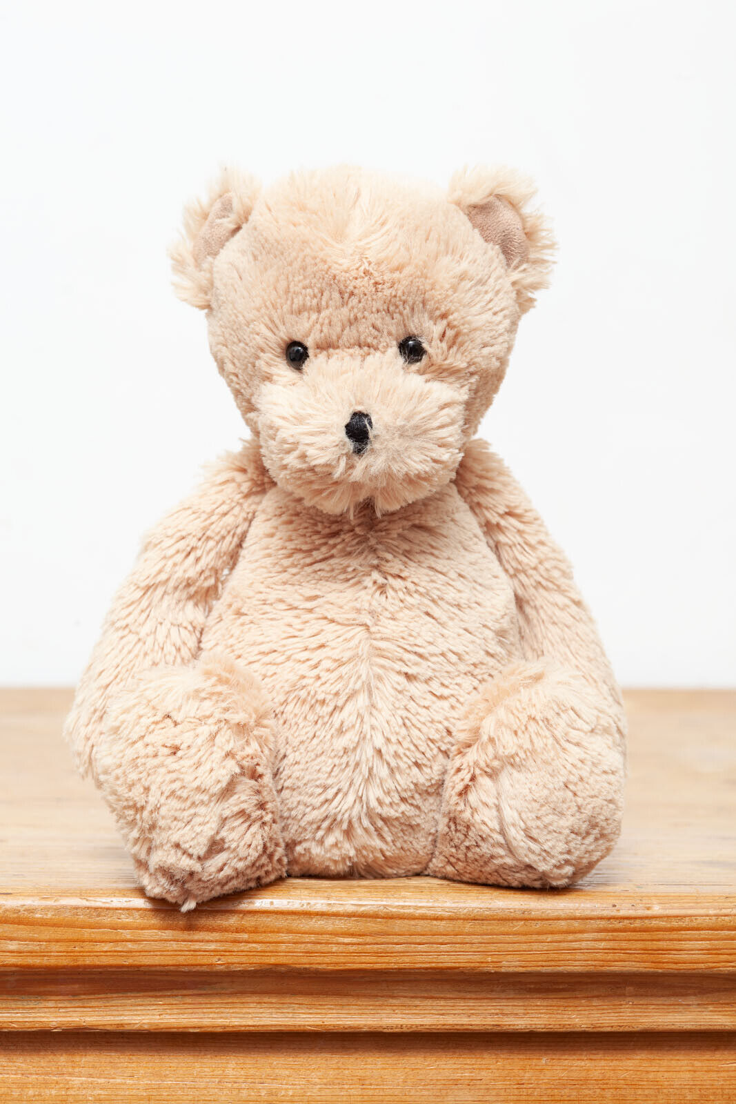 Bashful Honey Bear (Medium)