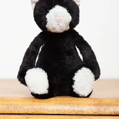 Bashful Cat (Small)
