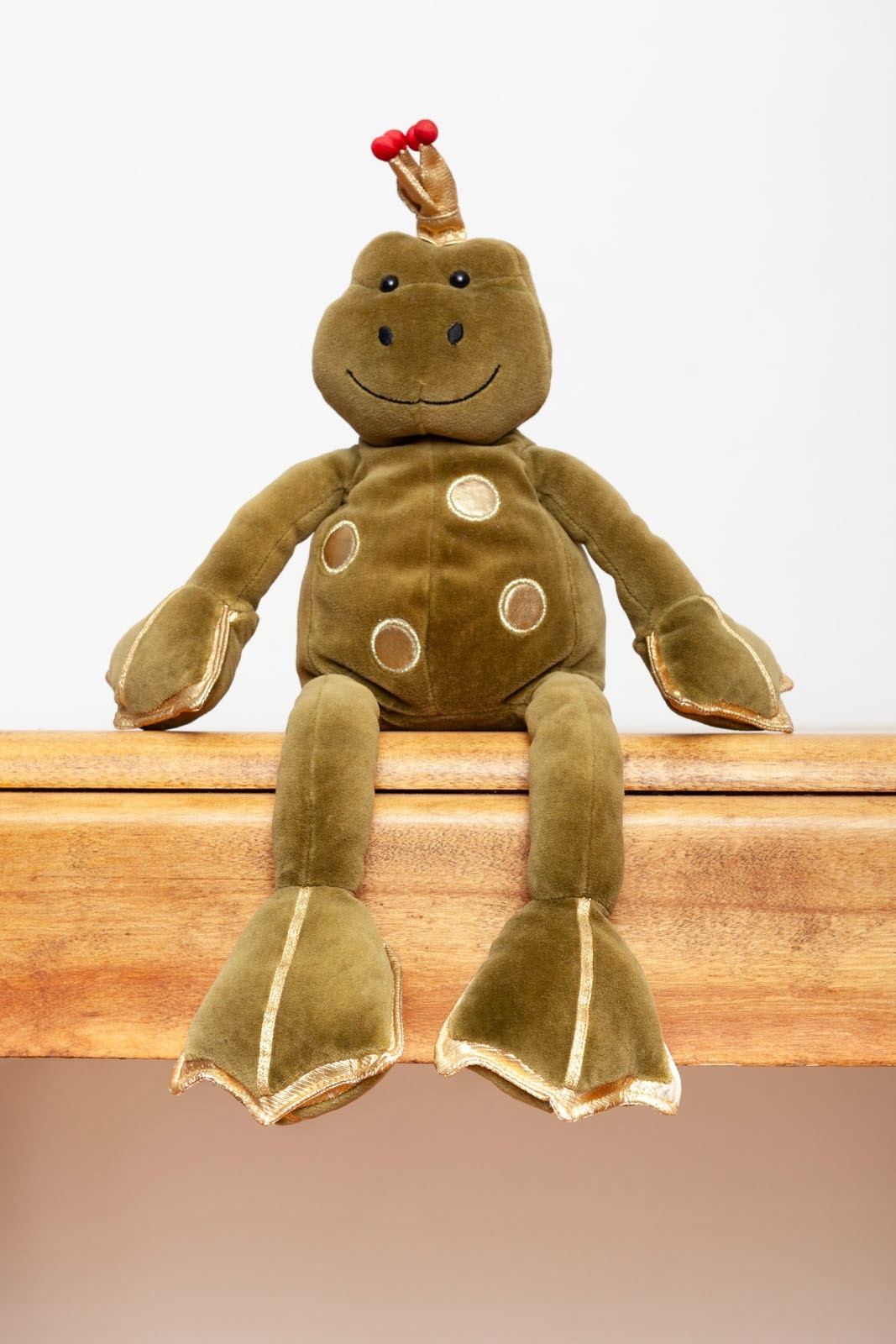 Mystical Magical Frog (Medium)