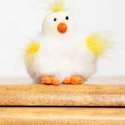 Baby Puffball Chick