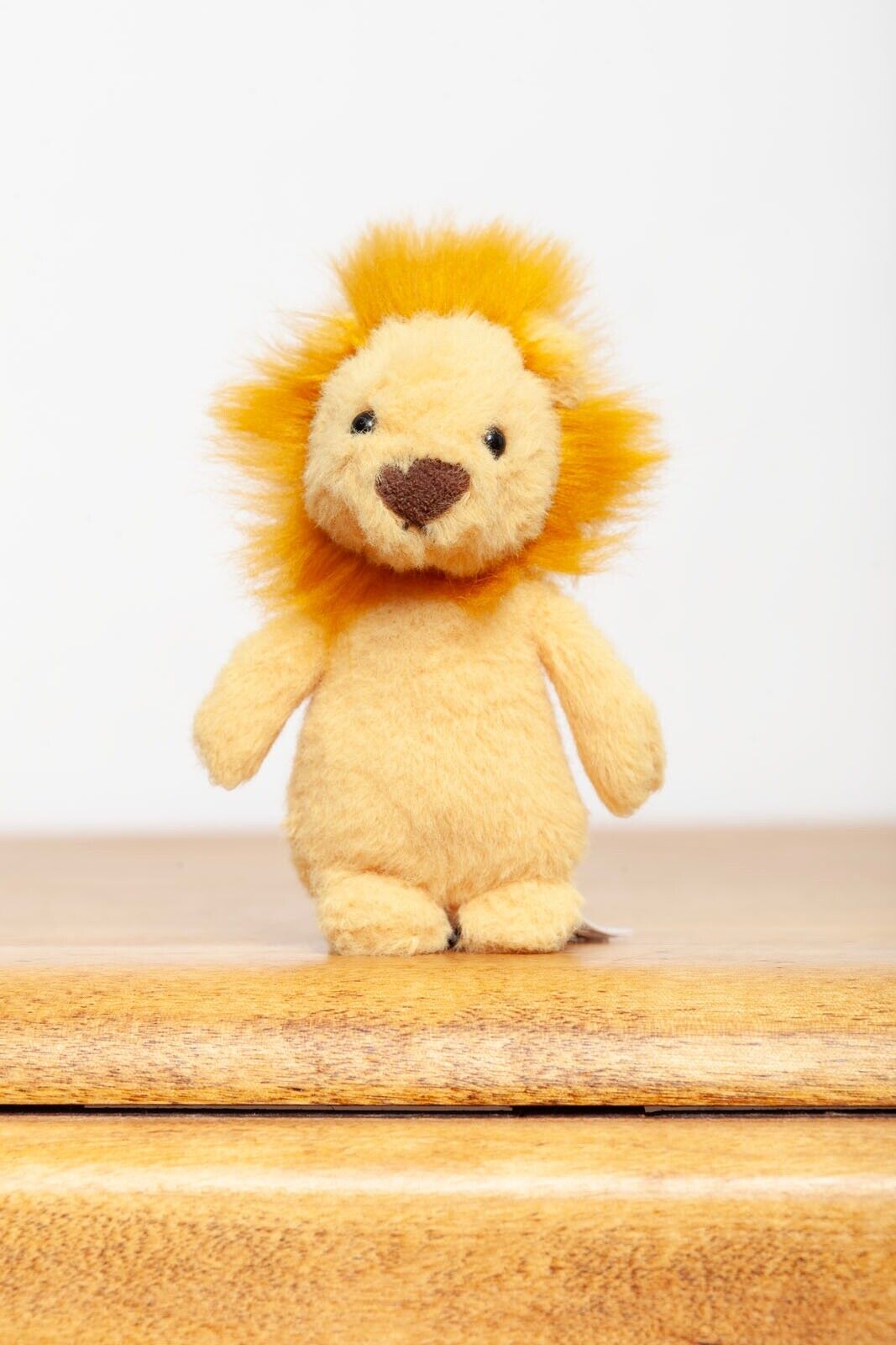 Fluffy Lion