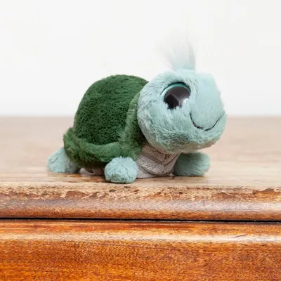 Frizzles Turtle