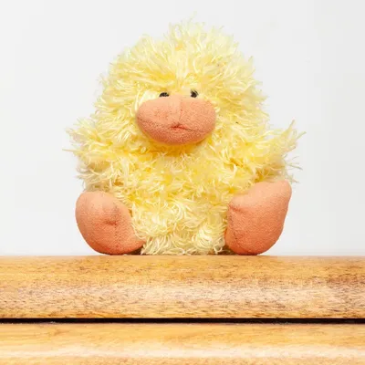 Baby Pudding Chick