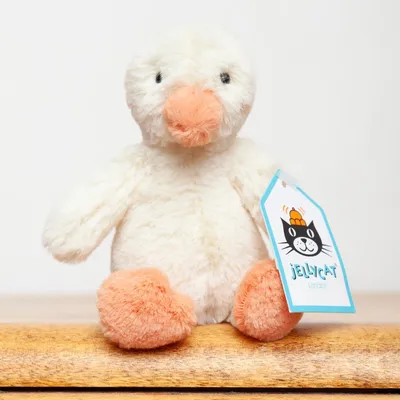 Baby Bashful Duckling