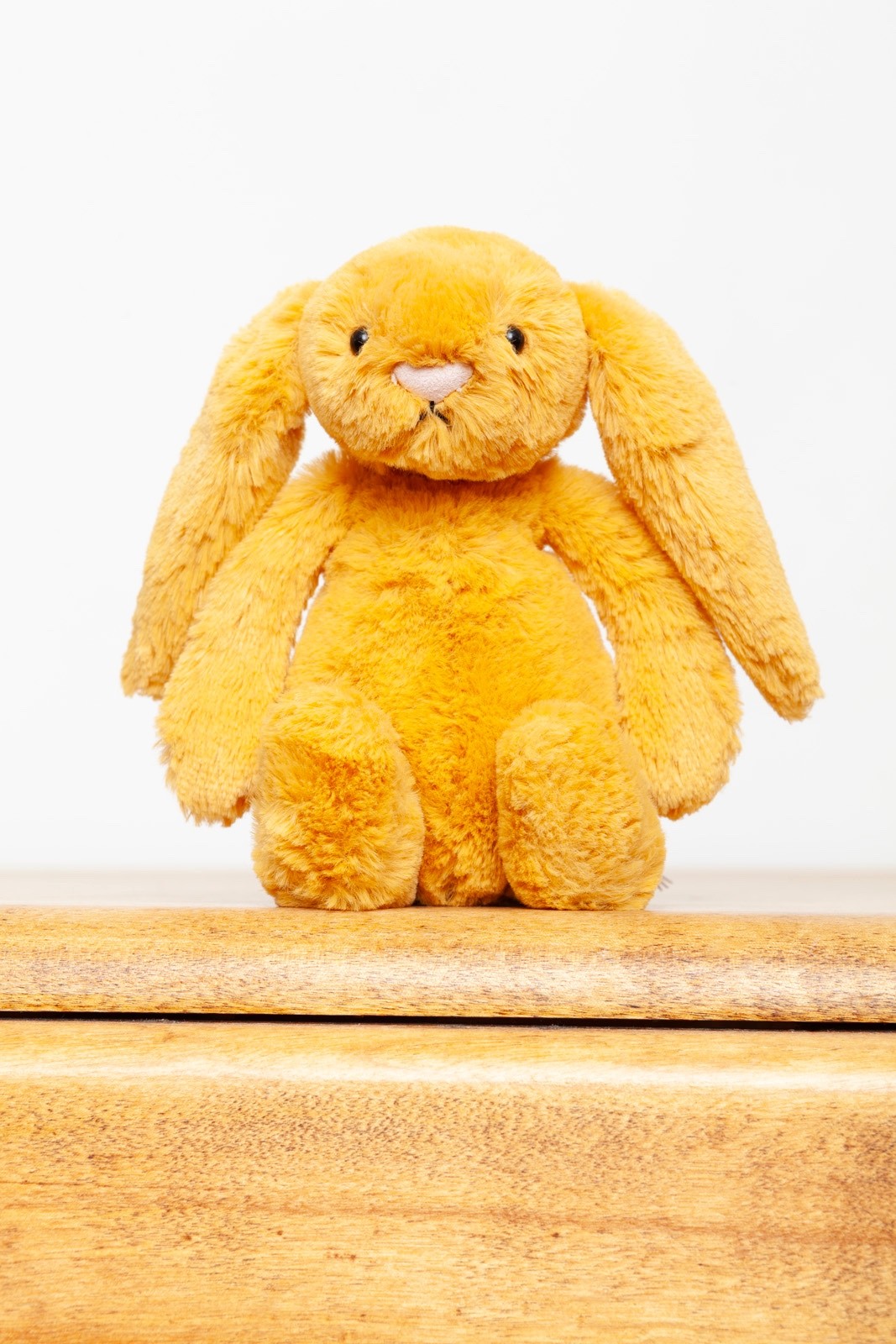 Bashful Saffron Bunny
