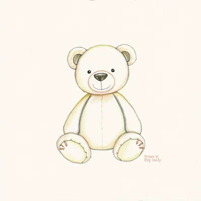 Big Teddy