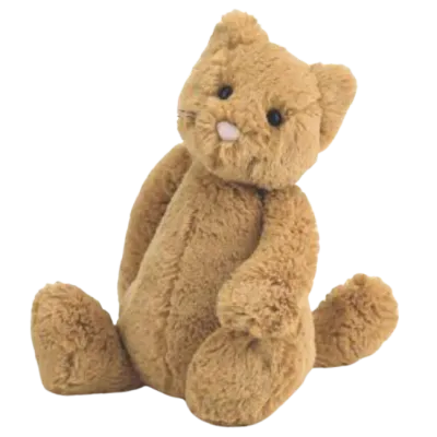 Bashful Ginger Cat
