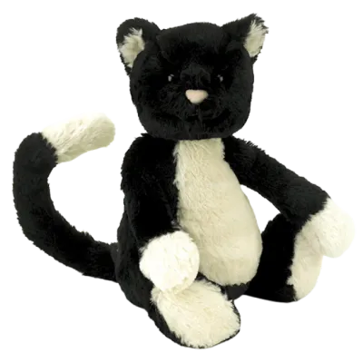 Bashful Black & White Cat