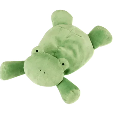 Dozydou Frog