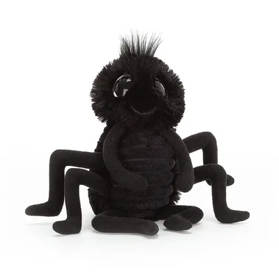 Frizzles Spider