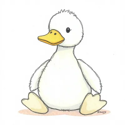 Nimbus Duck