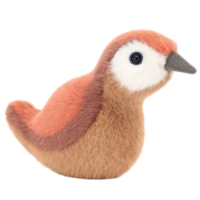 Birdling Wren