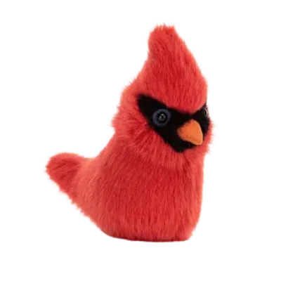 Birdling Cardinal