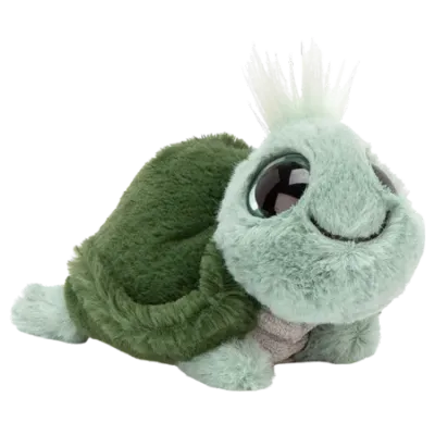 Frizzles Tortoise