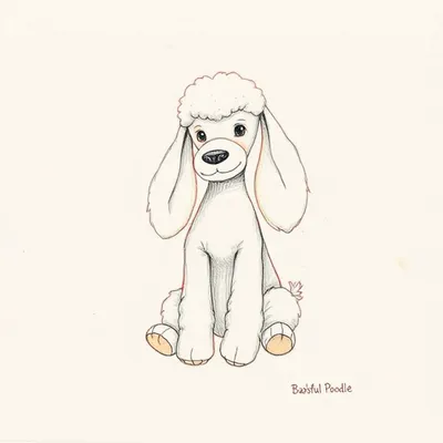 Bashful Poodle (Medium)