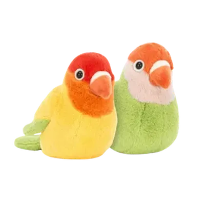 A Pair of Lovely Lovebirds