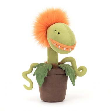 Carniflore Tammie (Medium)