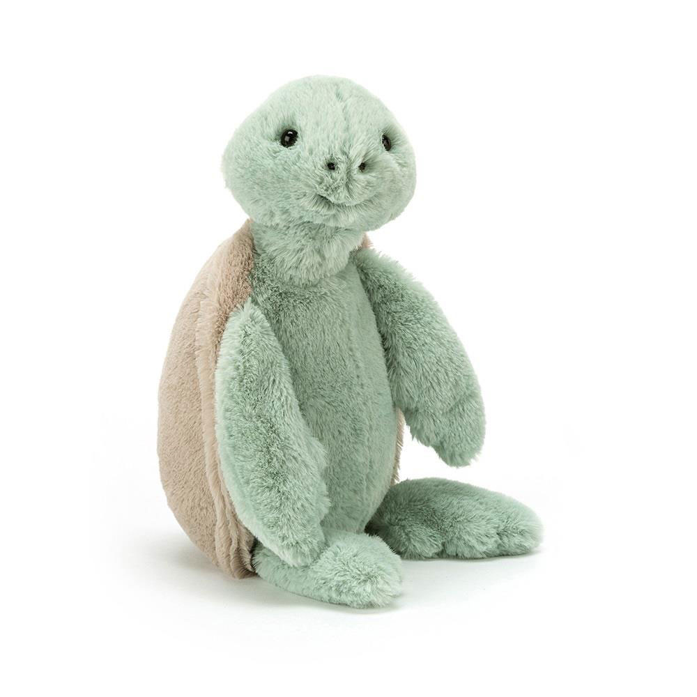 Bashful Turtle (Medium)