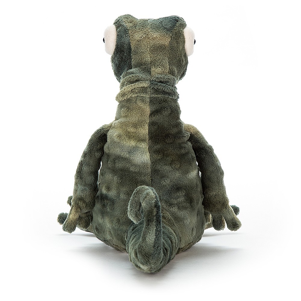 Gary Gecko