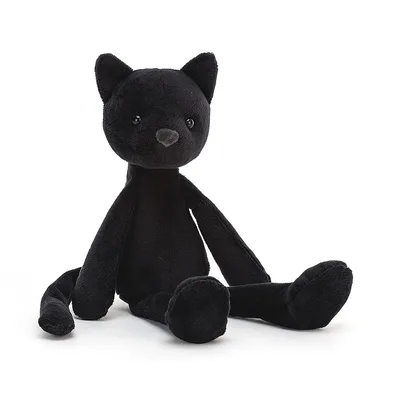 Bewitching Cat