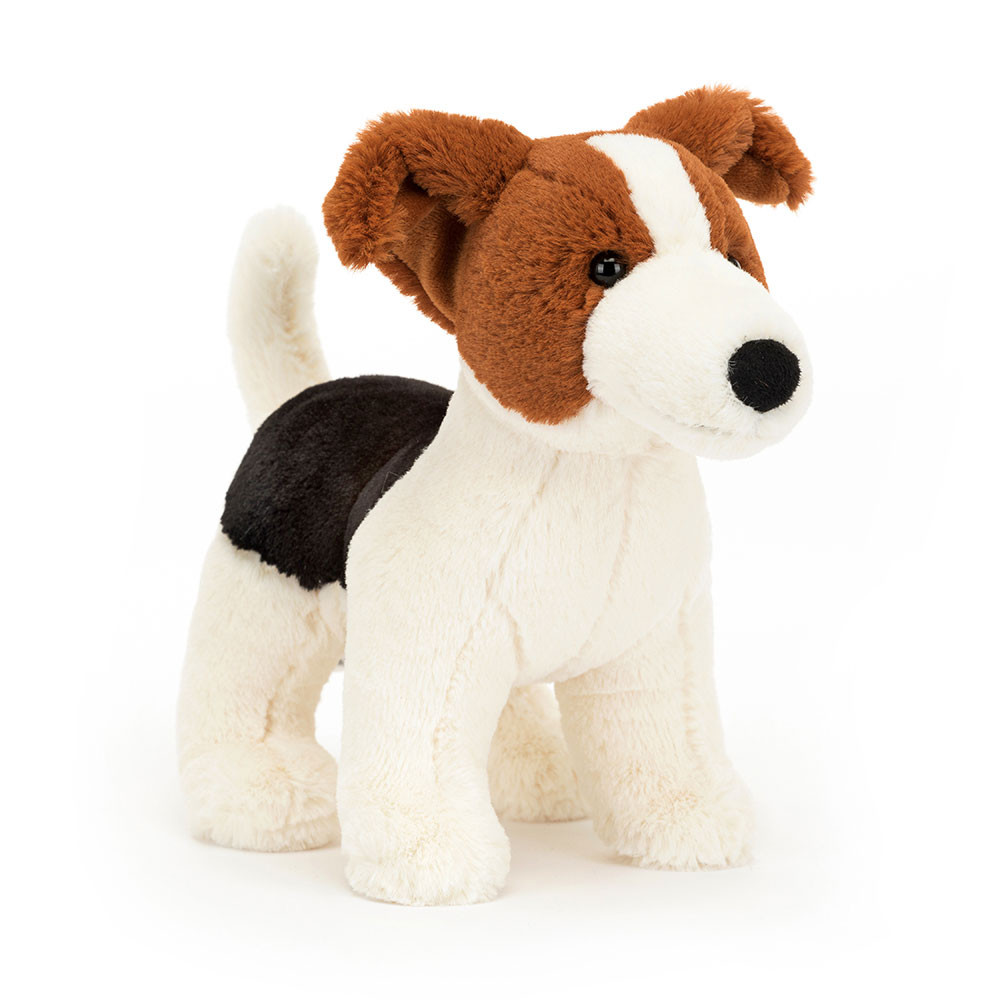 Albert Jack Russell (Medium)