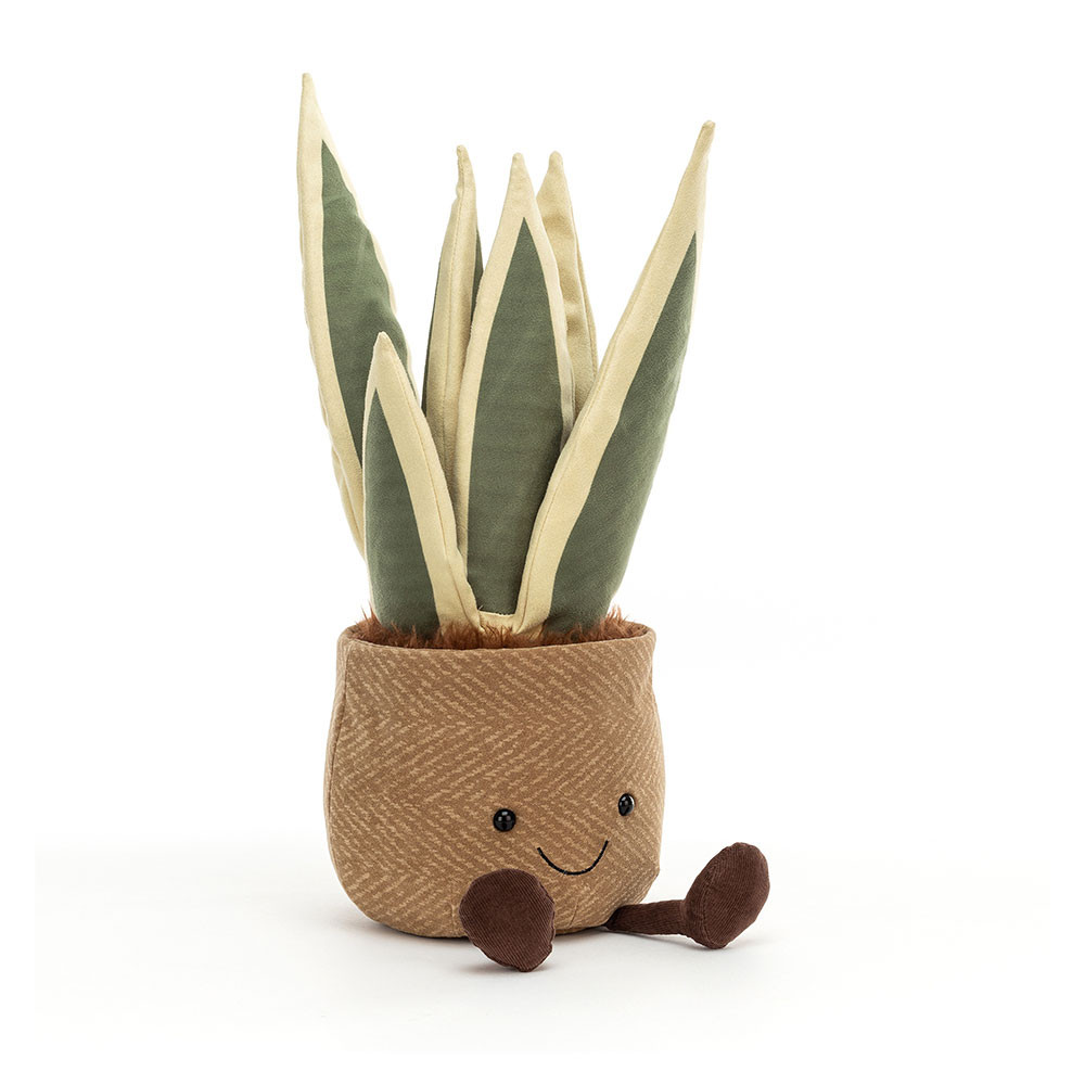 Amuseable Snake Plant (Large)