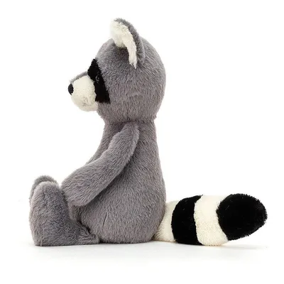 Bashful Raccoon